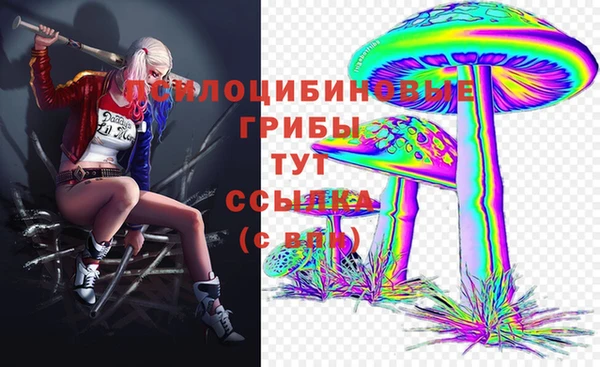 кокс Алзамай