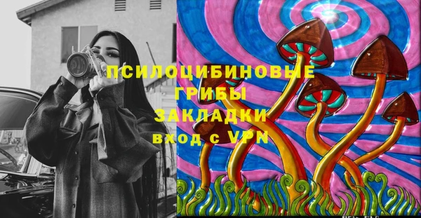 дживик Алексин