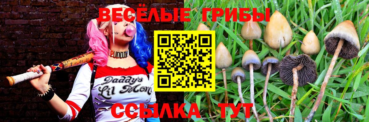 Анапа  Галлюциногенные грибы прущие грибы  Псилоцибиновые грибы ЛСД  Вход с VPN 