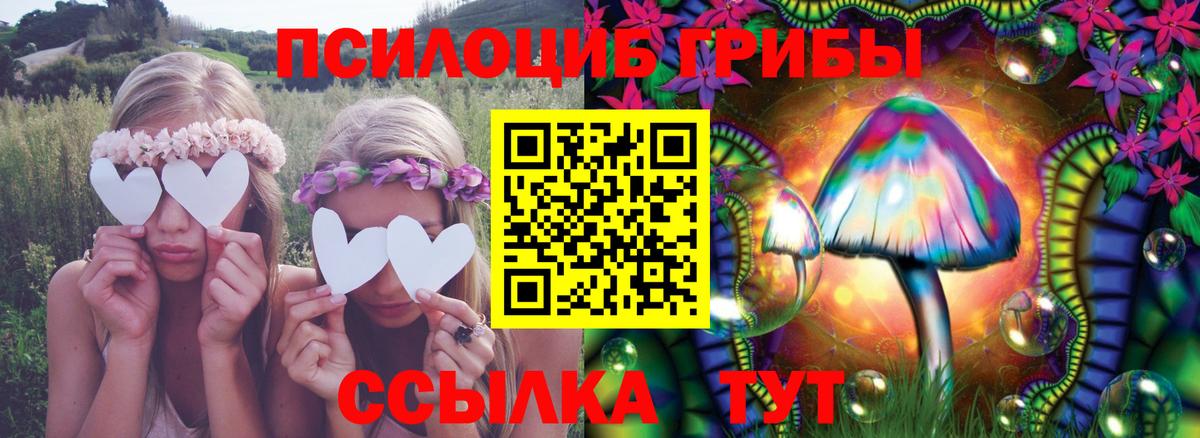 Галлюциногенные грибы прущие грибы Анапа