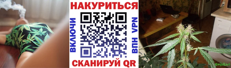 Конопля OG Kush  Анапа 